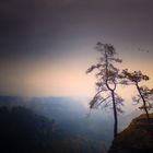 Morgennebel in der Sächsischen Schweiz