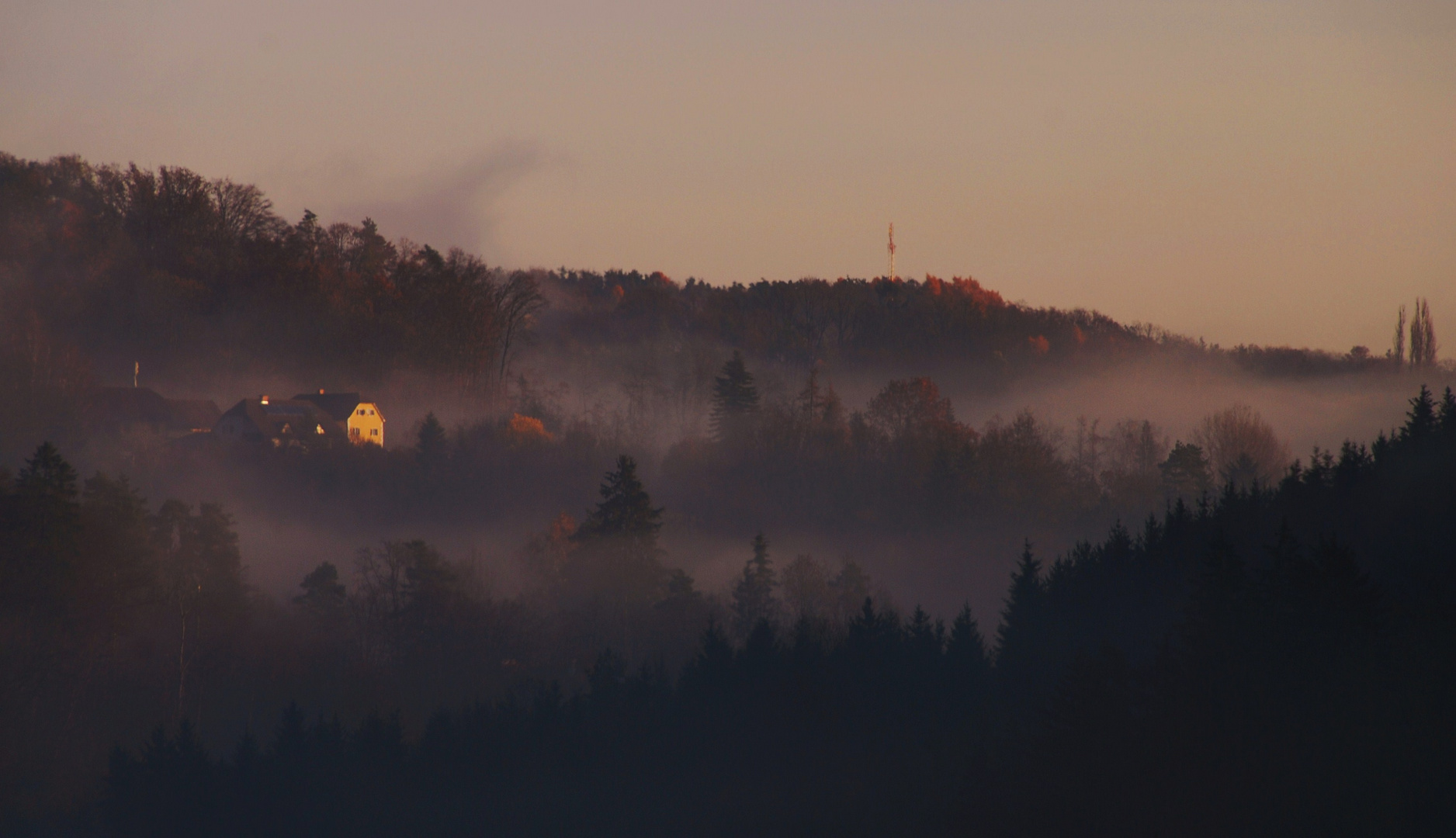 Morgennebel in der Sonne