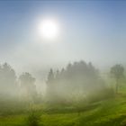 Morgennebel in der Steiermark