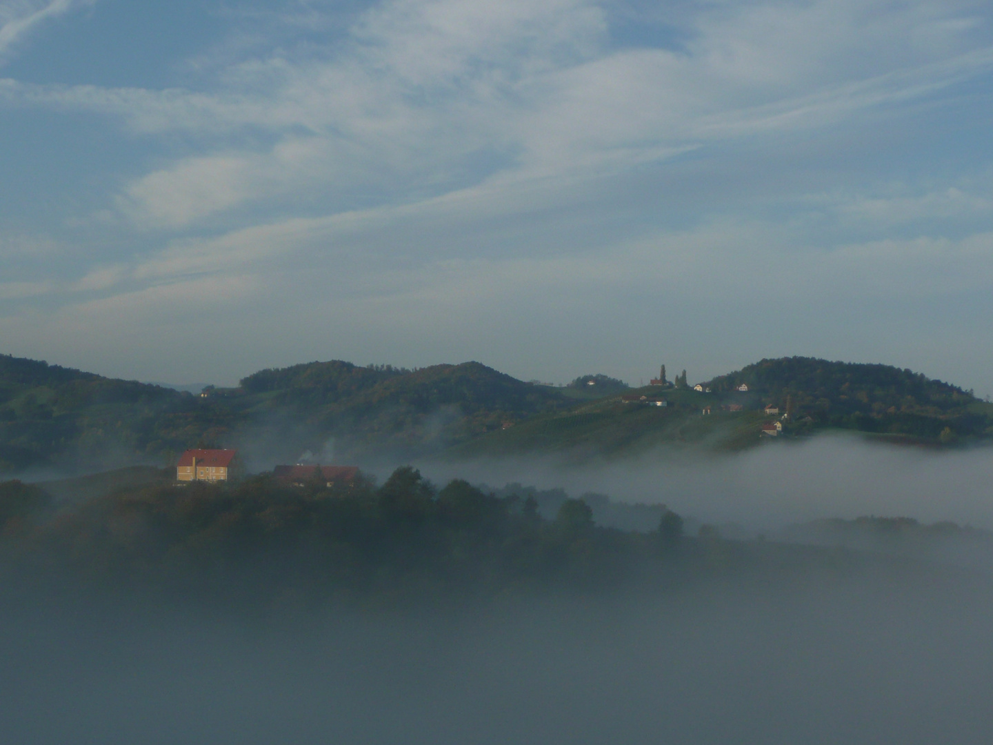 Morgennebel in der Südsteiermark