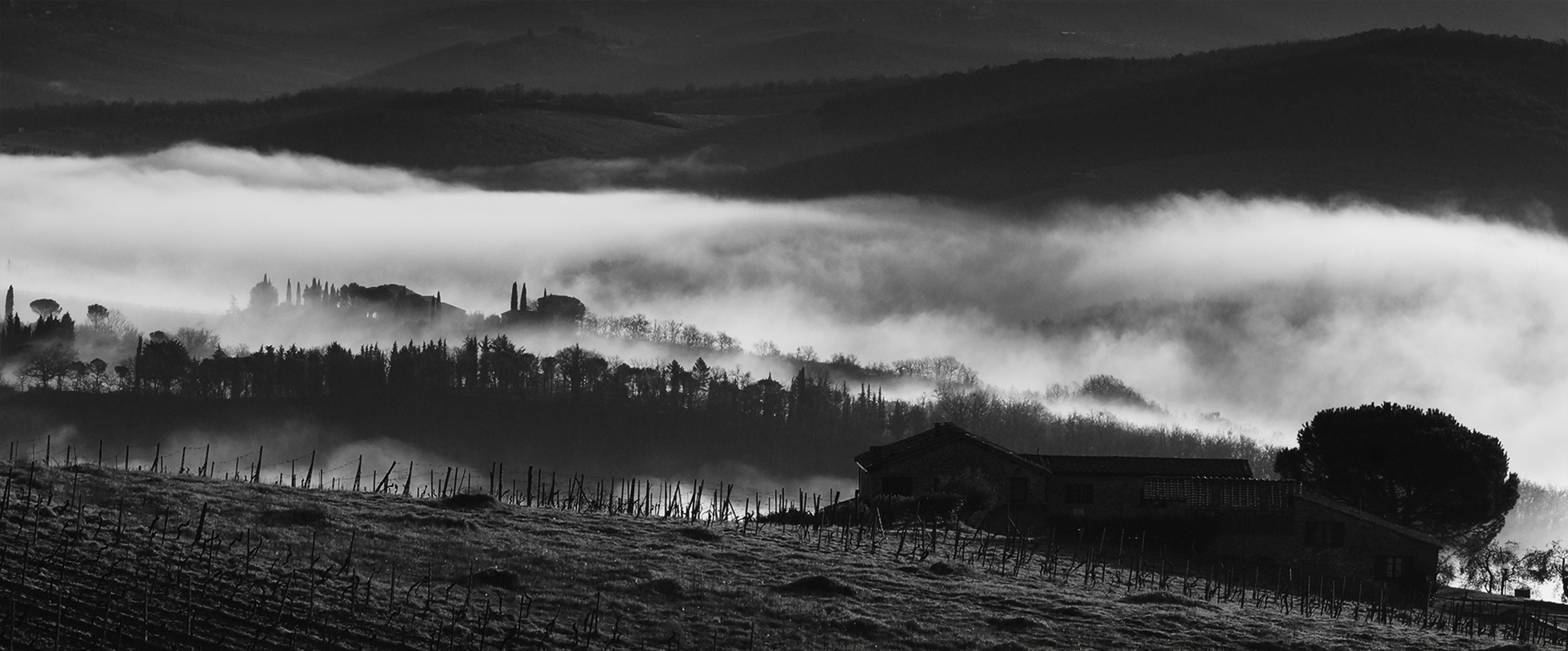 Morgennebel in der Toskana