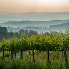 Morgennebel in der Toskana