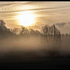 Morgennebel in Duisburg Alt-Homberg