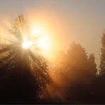 Morgennebel in Finnland