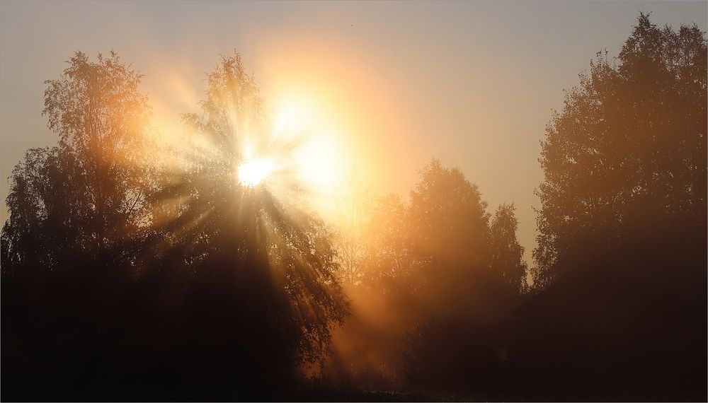 Morgennebel in Finnland