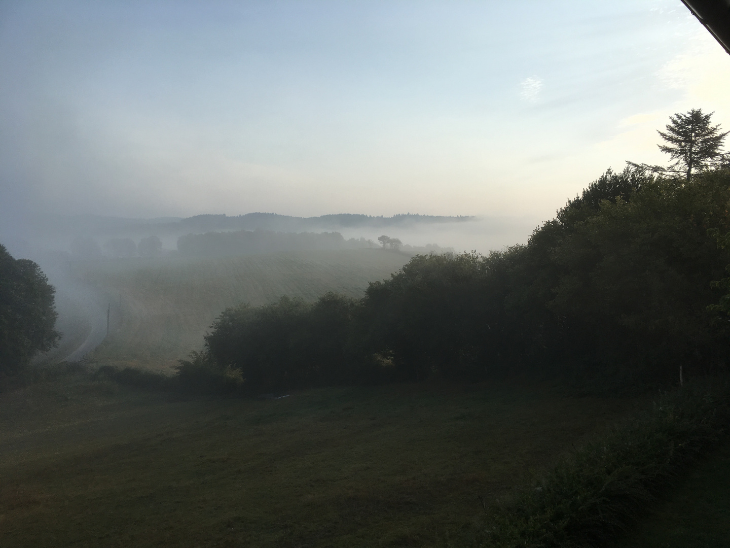 Morgennebel in Frankreich