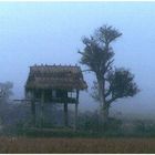 Morgennebel in Laos