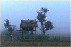 Morgennebel in Laos