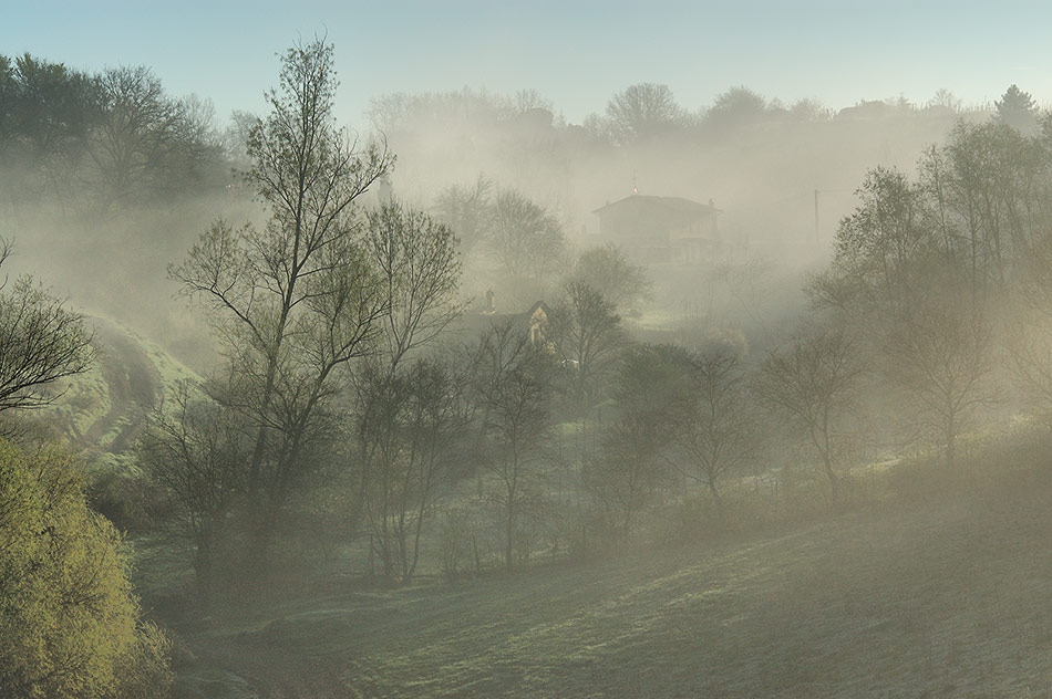 Morgennebel in Laterina