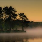 Morgennebel in Markaryd (Schweden).