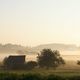 Morgennebel in Neuhausen (Schwarzwald)