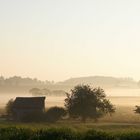 Morgennebel in Neuhausen (Schwarzwald)