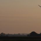 Morgennebel in Nordfriesland