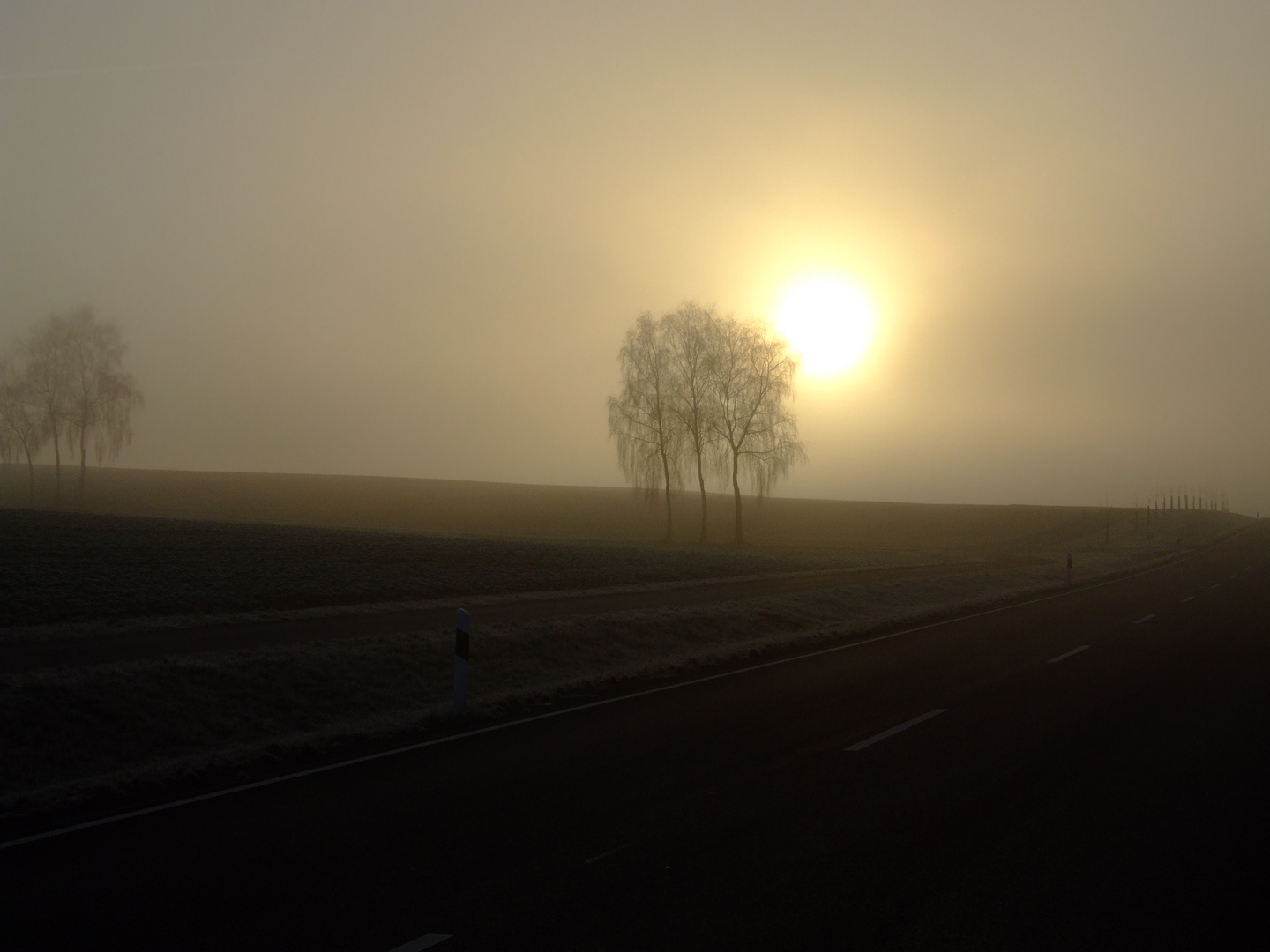 Morgennebel in Oberfranken