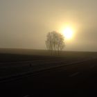 Morgennebel in Oberfranken