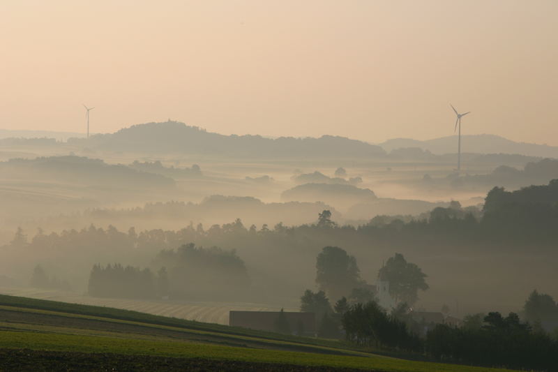 Morgennebel in Rastbach/NÖ