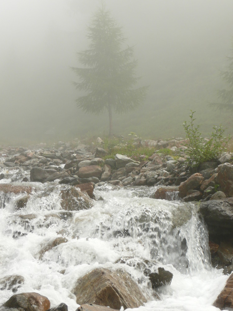 Morgennebel in Südtirol