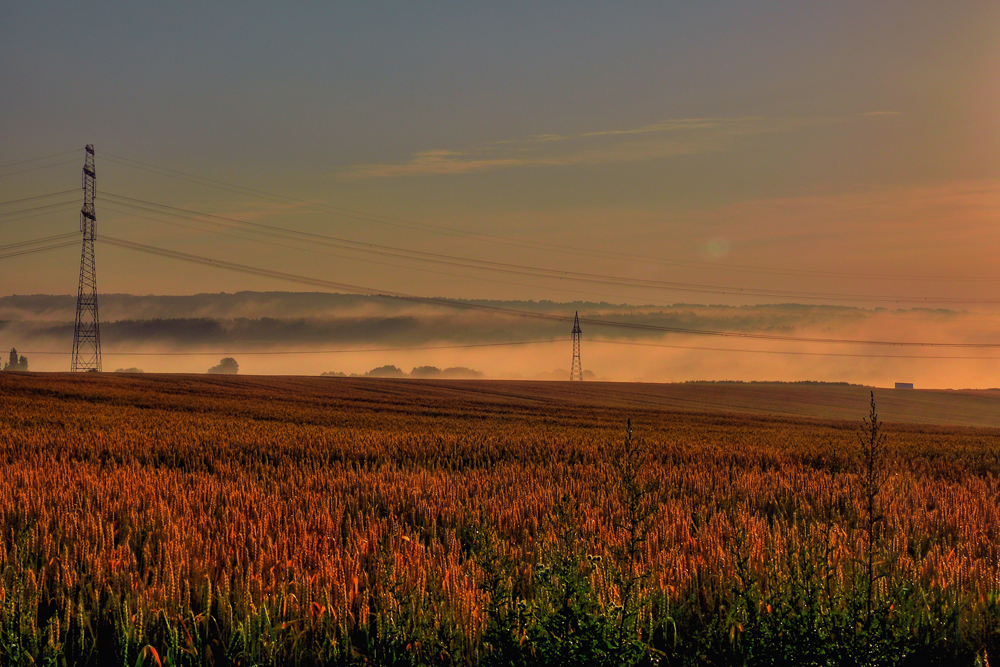 Morgennebel in Thüringen