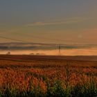 Morgennebel in Thüringen