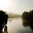 Morgennebel in Zürich Höngg