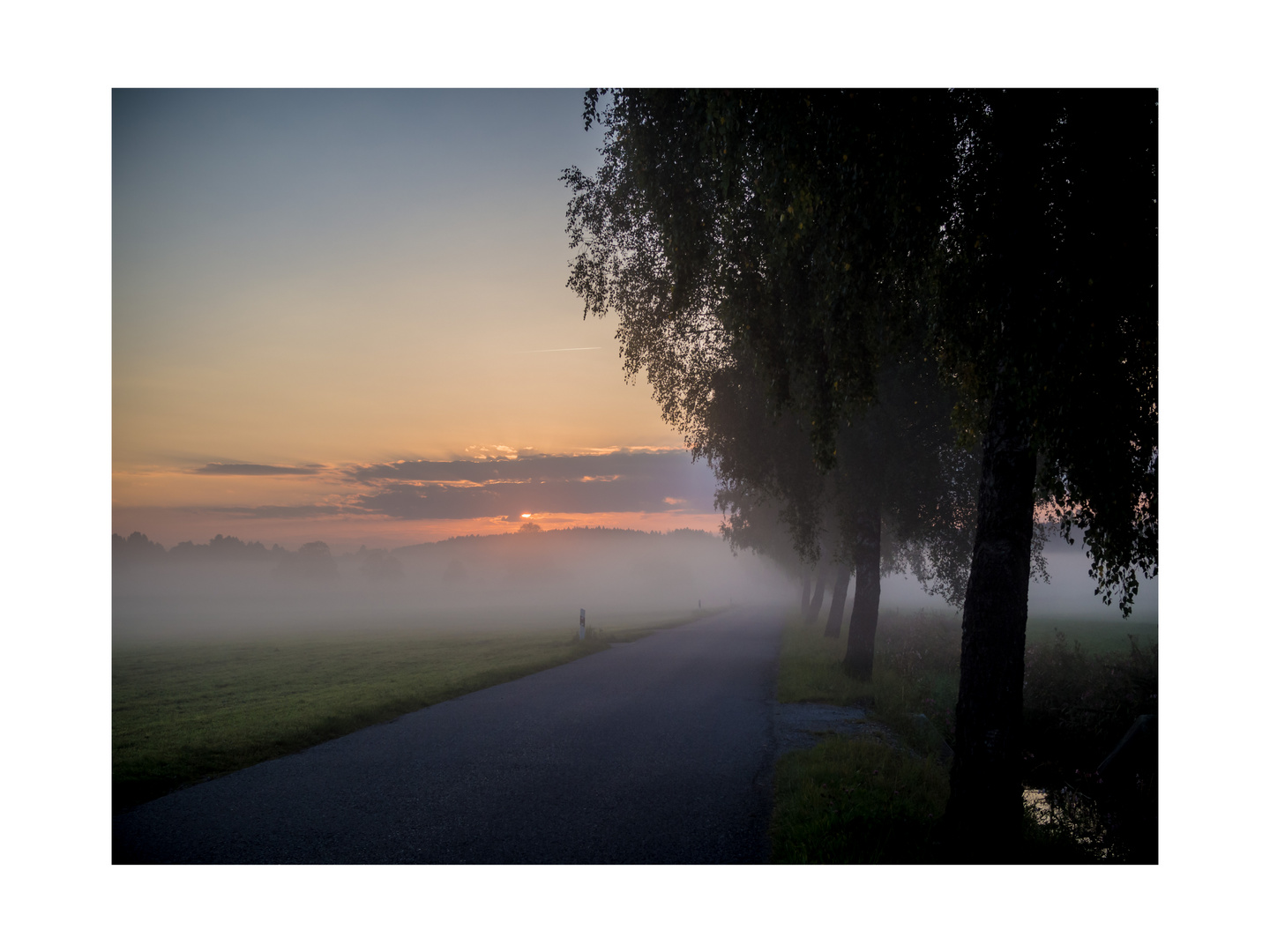 Morgennebel kündigt den Herbst an.-1