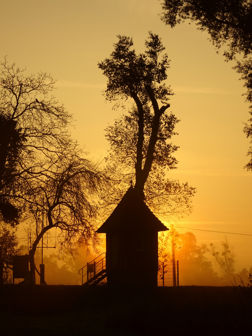 Morgennebel lichten sich