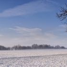 Morgennebel liegt über dem Feld.....