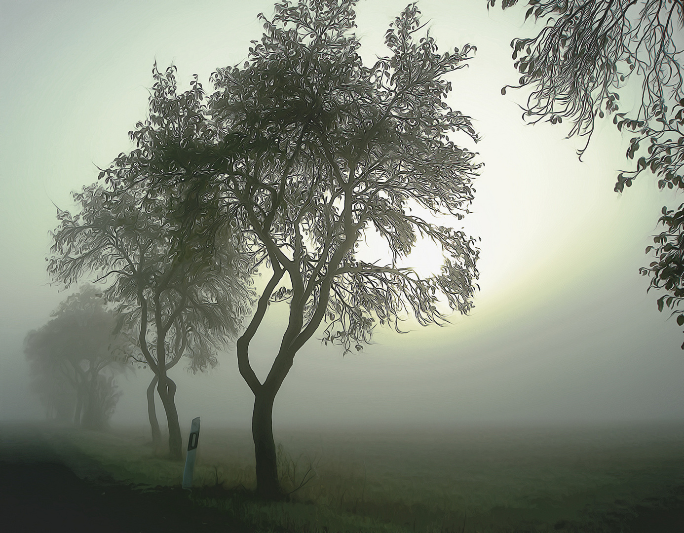 Morgennebel / morning fog