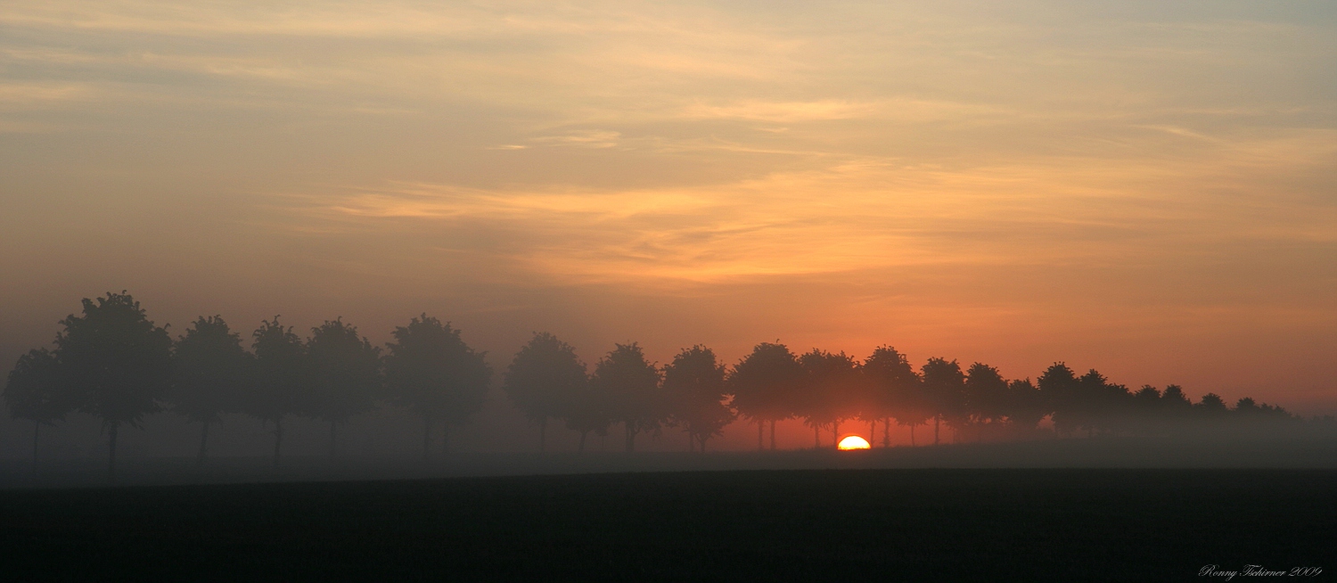 Morgennebel  // Niebla de la mañana