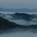 Morgennebel Toscana