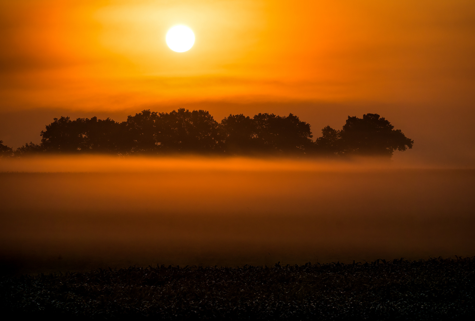 "MORGENNEBEL TRIFFT MORGENSONNE"