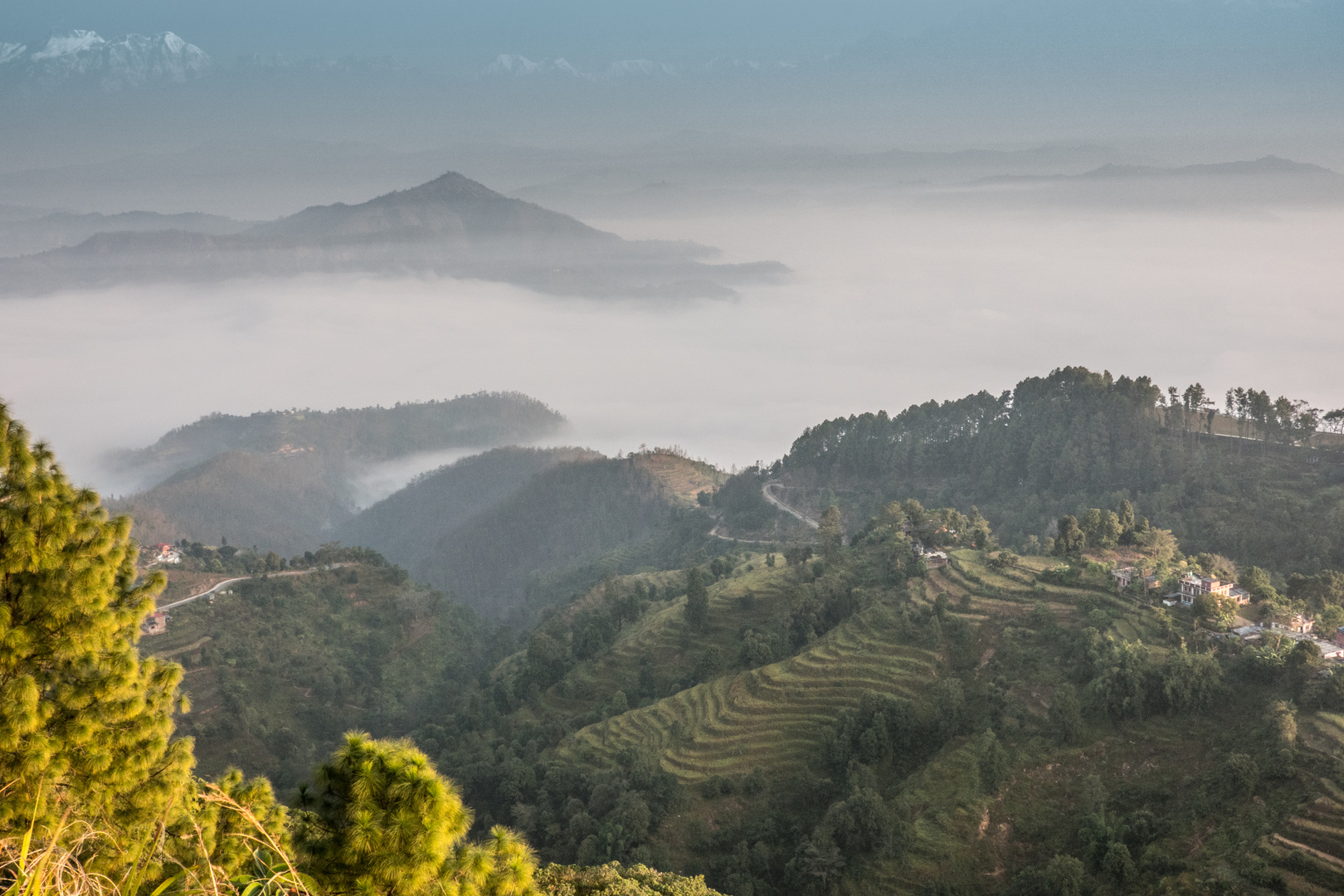 Morgennebel über Bandipur