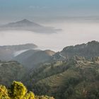 Morgennebel über Bandipur