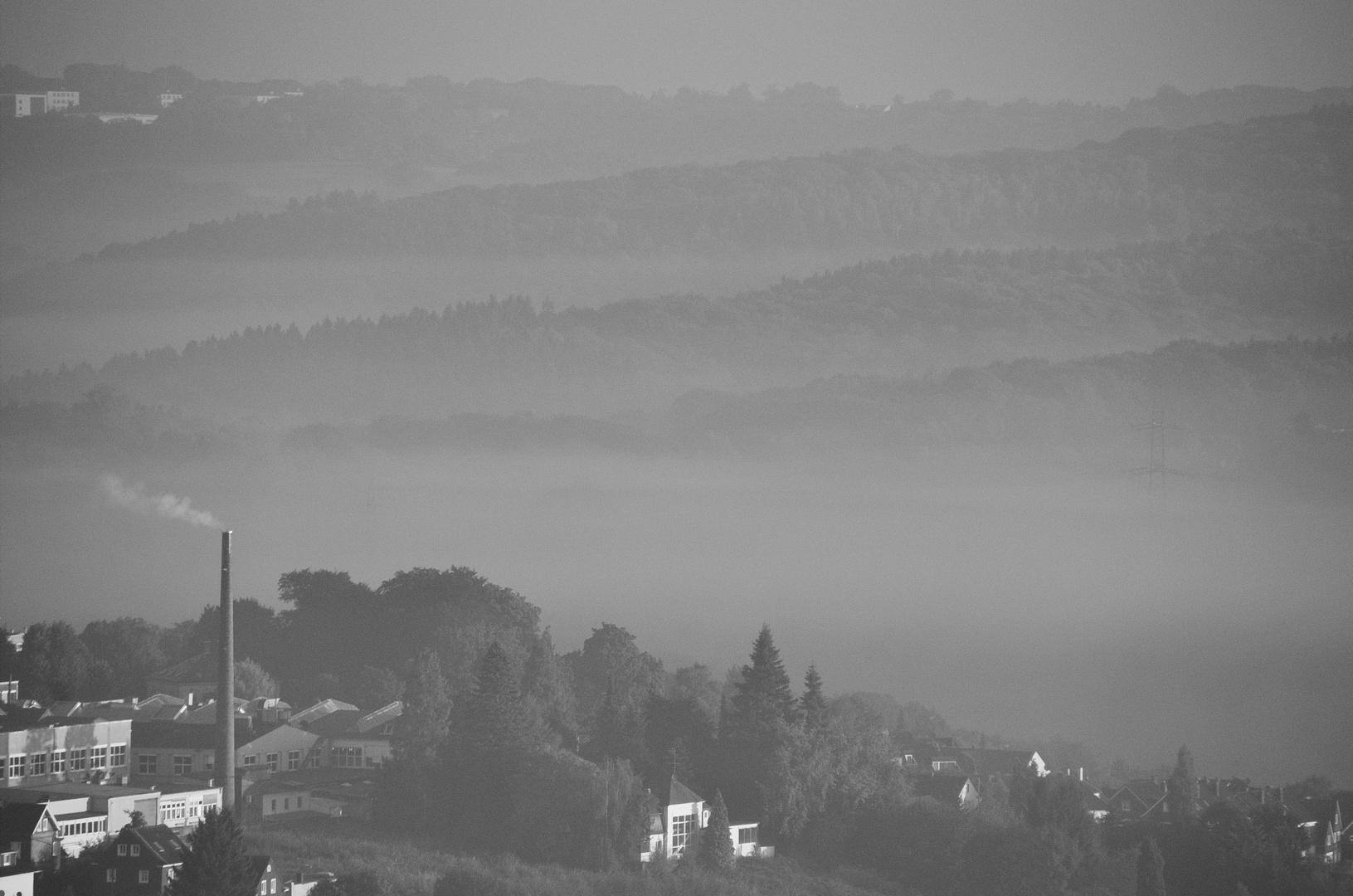 Morgennebel über Bergischen Tälern