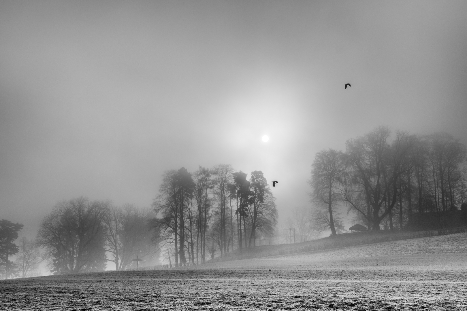 Morgennebel über dem Birstal 