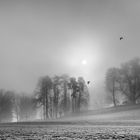 Morgennebel über dem Birstal 