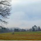 Morgennebel über dem Dorf