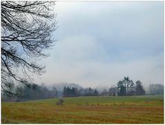 Morgennebel über dem Dorf