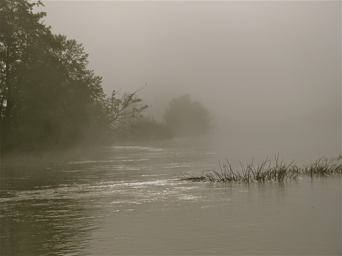 ...MORGENNEBEL ÜBER DEM DOUBS 1 !!!..