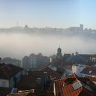 Morgennebel über dem Douro