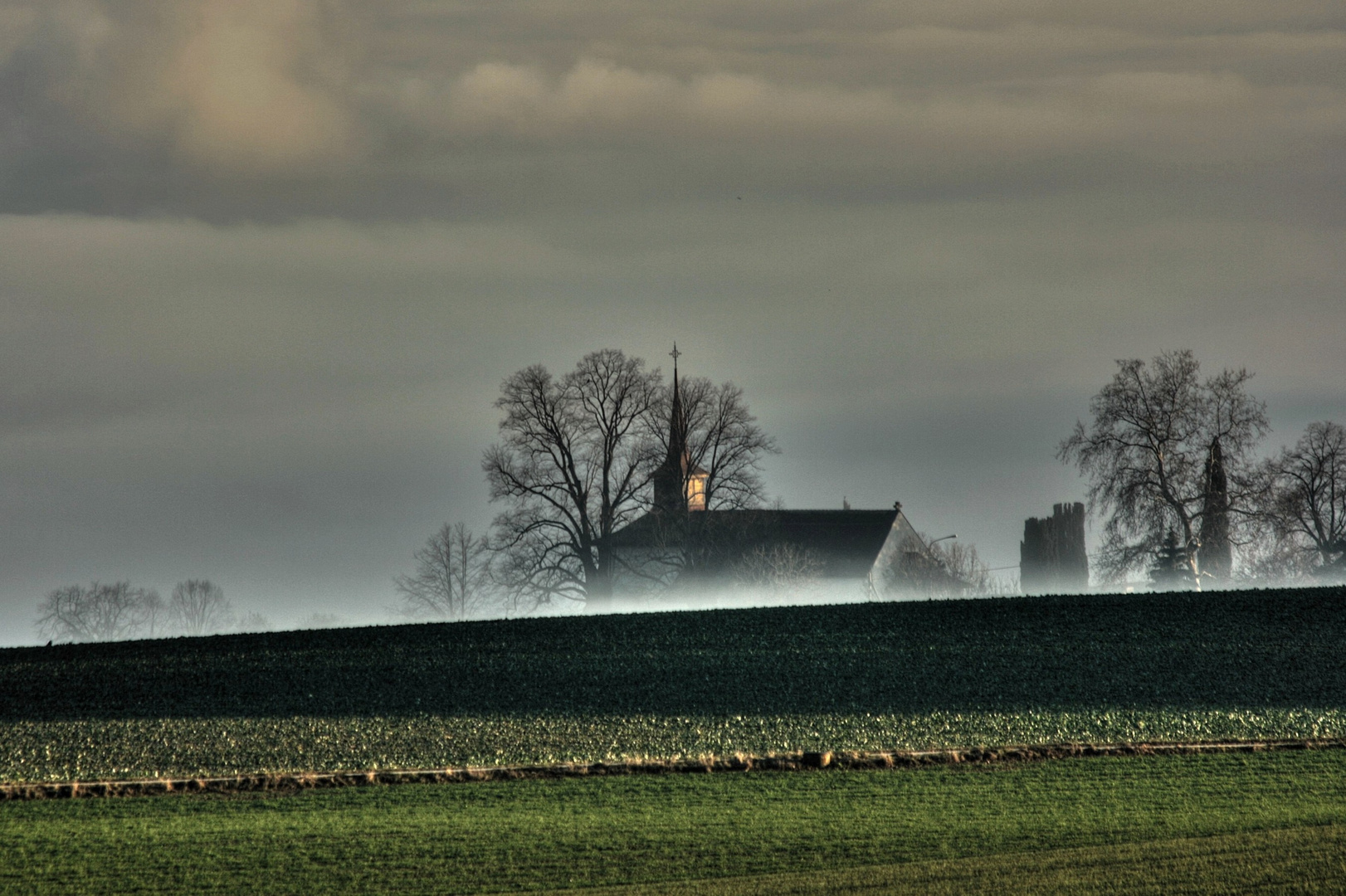 Morgennebel über dem Feld