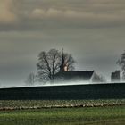 Morgennebel über dem Feld