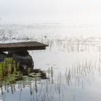 Morgennebel über dem Fiolen (4)