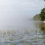 Morgennebel über dem Fiolen (5)