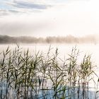 Morgennebel über dem Fiolen (6)