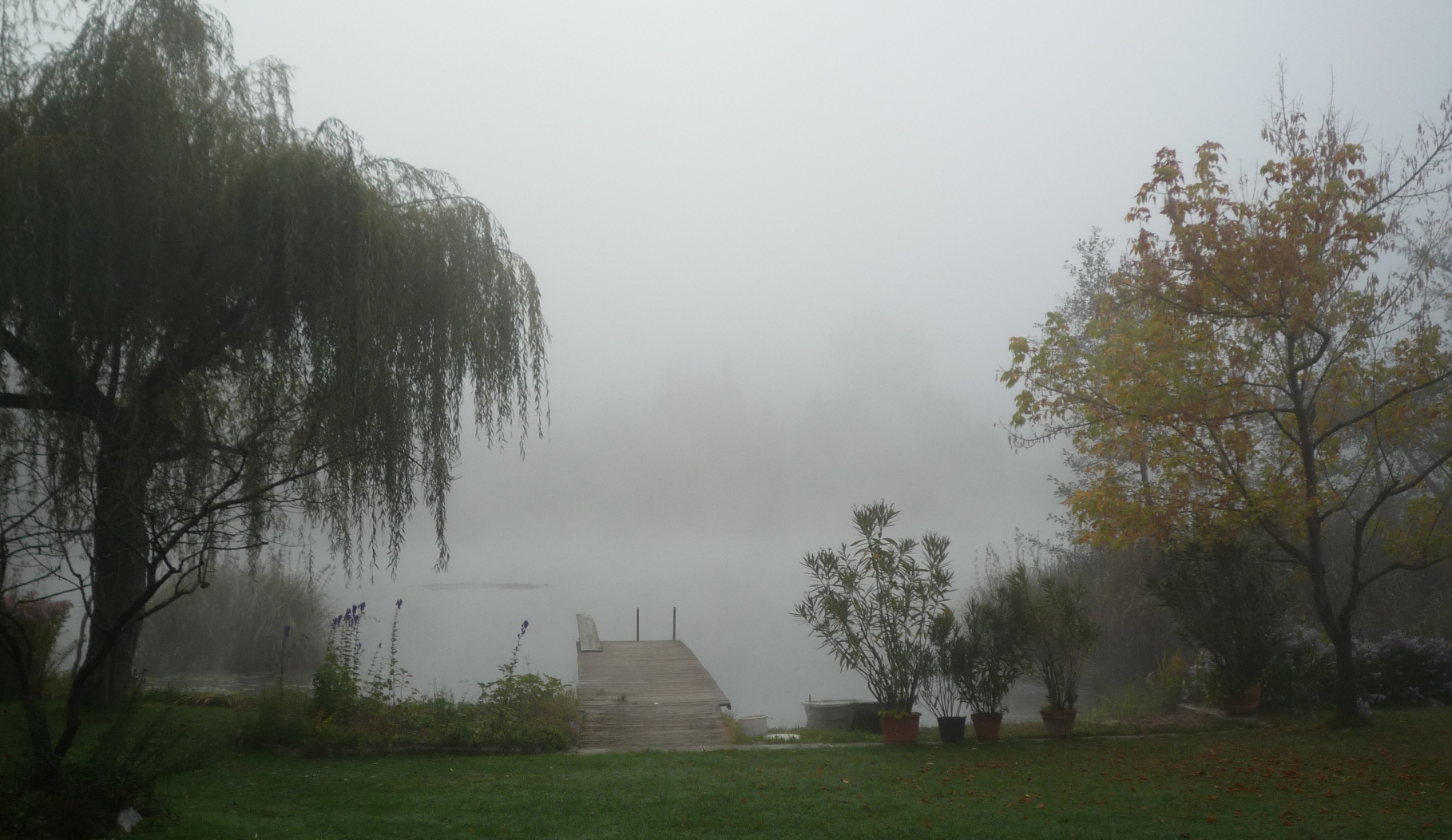 Morgennebel über dem Fleetsee