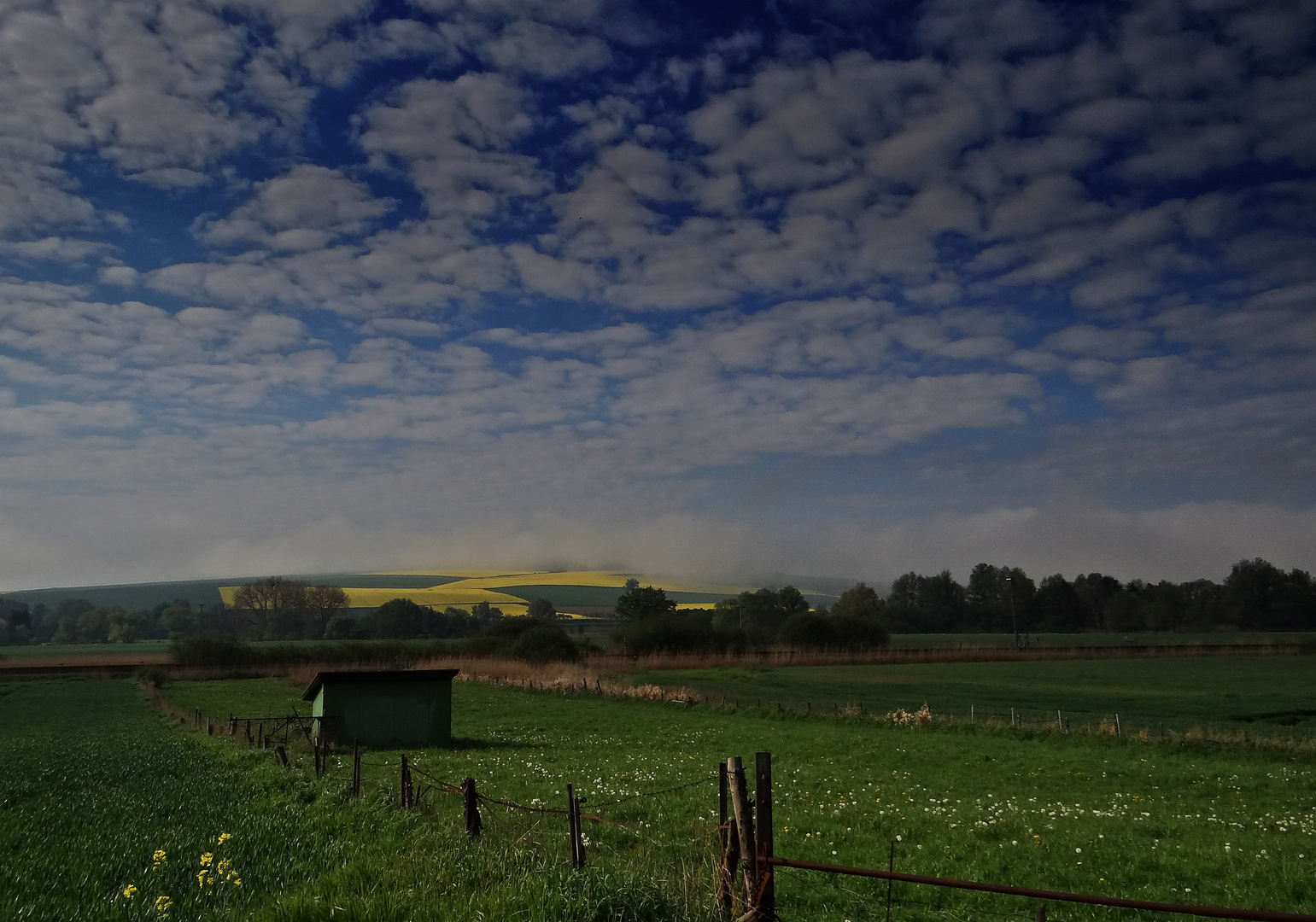 Morgennebel über dem Harzvorland