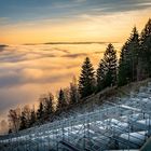 Morgennebel über dem Hohenwarte-Stausee