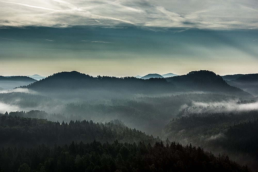 Morgennebel über dem Kirnitzschtal