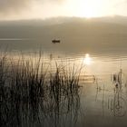Morgennebel über dem Laacher See
